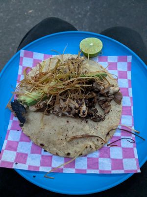  at Travelling Herbivore in Mexico City