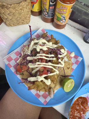   at Travelling Herbivore in Mexico City