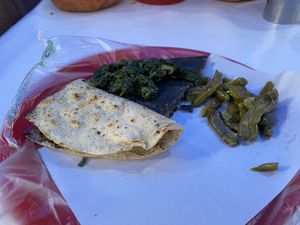   at Travelling Herbivore in Mexico City