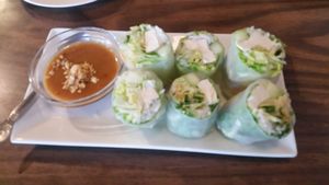 Vegan tofu fresh rolls at Thai E-San Kitchen in Dixon