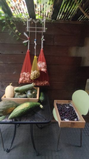  at Aoi Sora Organic Cafe in Sapporo