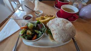 Spicy bean burger, vegan mayo & ketchup. Homemade fries & salad with balsamic & oil dressing at Glen Rowan cafe in Invermoriston