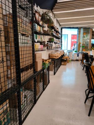  at Curcuma Green Food in Burgos