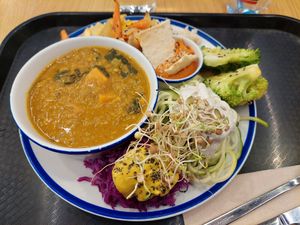 Lunch / Veggie bowl with red lentil dahl plus lots of veggies at Curcuma Green Food in Burgos