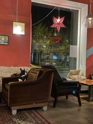 Dog-friendly place at Bar Favela in Helsinki