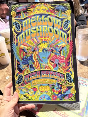   at Mellow Mushroom in Boone