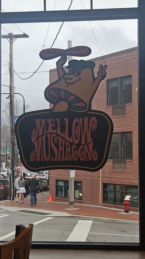  at Mellow Mushroom in Boone