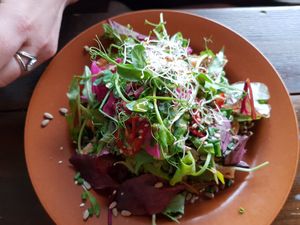 Avocado dish at Mirells in Visby