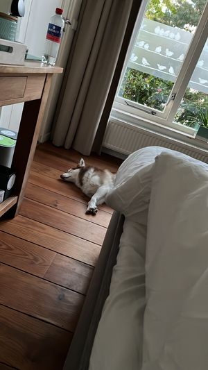   at B&B Kahakai in De Koog