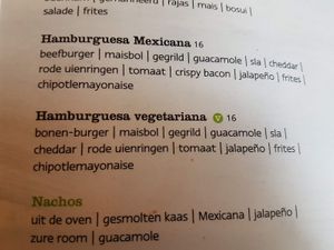 vegetarian burger (did not see vegan options on menu?) at Popocatepetl in Amersfoort