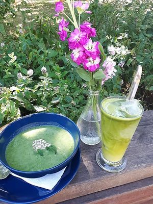 Spinach soup with coconut cream and iced matcha latté with soy vanilla. at Bistro Otevřená zahrada in Brno
