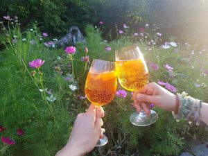 Aperol is always a good idea at Bistro Otevřená zahrada in Brno