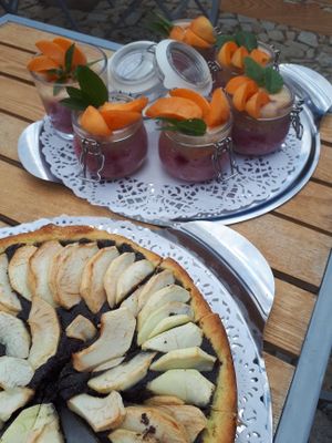 vegan vegan vegan! at Bistro Otevřená zahrada in Brno