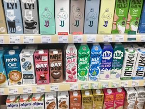 Vegan milks at Holland & Barrett - Saint Pancras in London