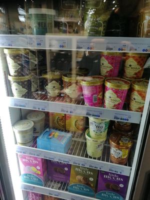 Vegan ice creams at Planet Organic - Tottenham Court Rd in London
