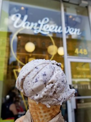Vegan mint chip at Van Leeuwen Ice Cream - Upper West Side in New York City
