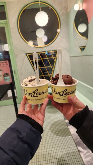 Cookies and Cream Caramel Swirl and Dark Chocolate Fudge at Van Leeuwen Ice Cream - Upper East Side in New York City