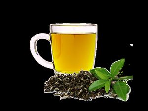 Organic Green Tea
 at Natural Way Cafe in Fair Lawn