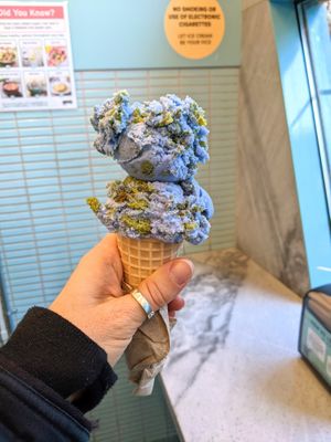Planet Earth (special edition spring flavor 2024) at Van Leeuwen Ice Cream - Nolita in New York City