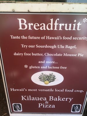 They use breadfruit (ulu) cheese too at Kilauea Bakery and Pau Hana Pizza in Kilauea