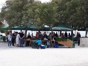 Saturday morning at Agrobio in Lisbon