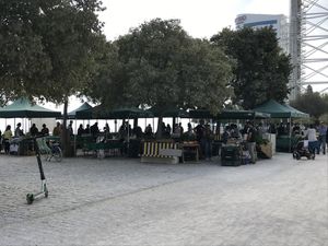 Vista geral at Agrobio in Lisbon