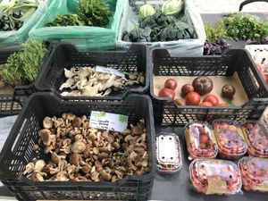 Cogumelos  at Agrobio in Lisbon