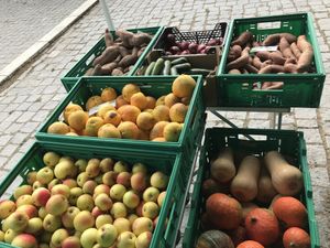 Fruta e legumes at Agrobio in Lisbon
