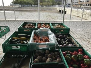 Legumes at Agrobio in Lisbon