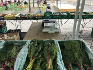 Verguem-se at Agrobio in Lisbon