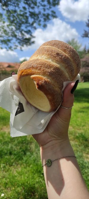 Vegan cinnamon chimney cake at Waffle Point U Kajetana in Prague