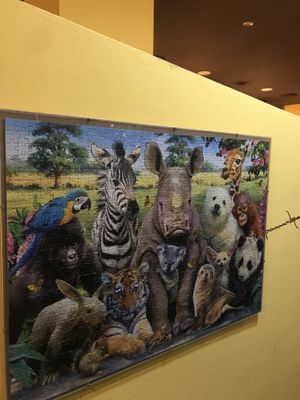 Happy animals inside at Sa Capca in Blanes