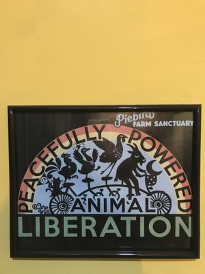 Animal liberation inside at Sa Capca in Blanes