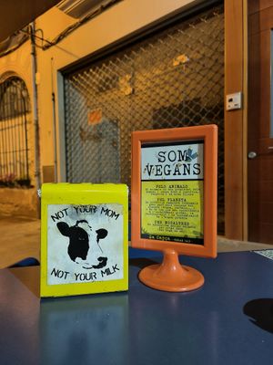  at Sa Capca in Blanes