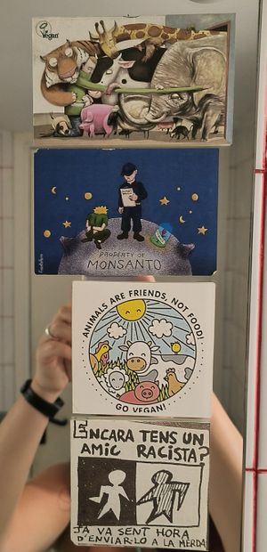 The stickers in the bathroom at Sa Capca in Blanes