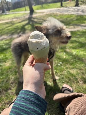 Vanille und Matchs Eis  at Eisdielerin in Cologne