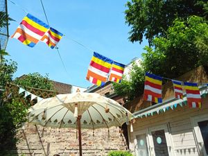 backyard at Eisdielerin in Cologne