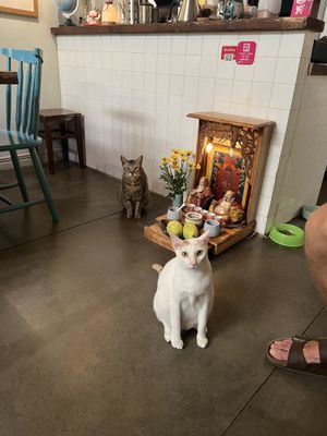   at Passengers in Ho Chi Minh City