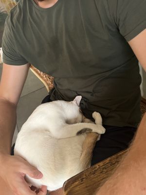   at Passengers in Ho Chi Minh City