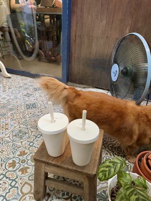   at Passengers in Ho Chi Minh City