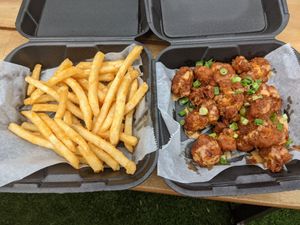 Seasoned fries, crispy well seasoned buffalo cauliflower at Houston Sauce Co in Houston