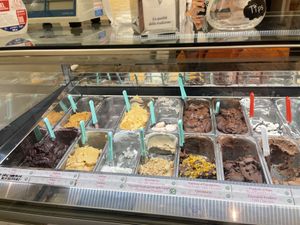 Vegan flavours clearly marked! at Gelateria Rufus in Pisa