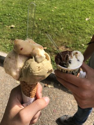 pistacchio, mela , stracciapera e cioccolato al peperoncino tutti vegani  at Gelateria Rufus in Pisa