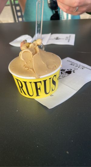   at Gelateria Rufus in Pisa