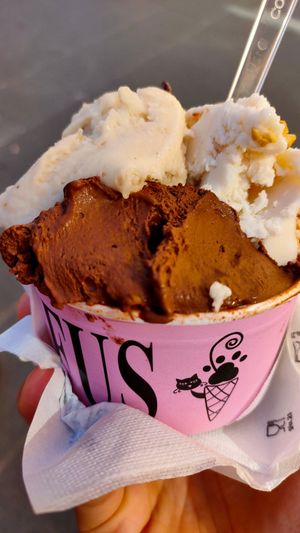  at Gelateria Rufus in Pisa