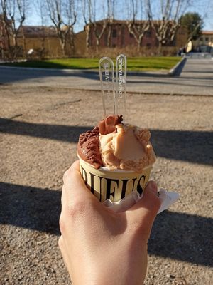 Chocolate and hazelnut   at Gelateria Rufus in Pisa