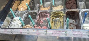 19 vegan options at Gelateria Rufus in Pisa