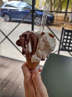 Vegan gianduia blackberry e noce at Gelateria Rufus in Pisa