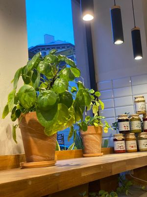  at Pierozak in Poznan