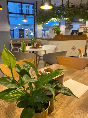  at Pierozak in Poznan